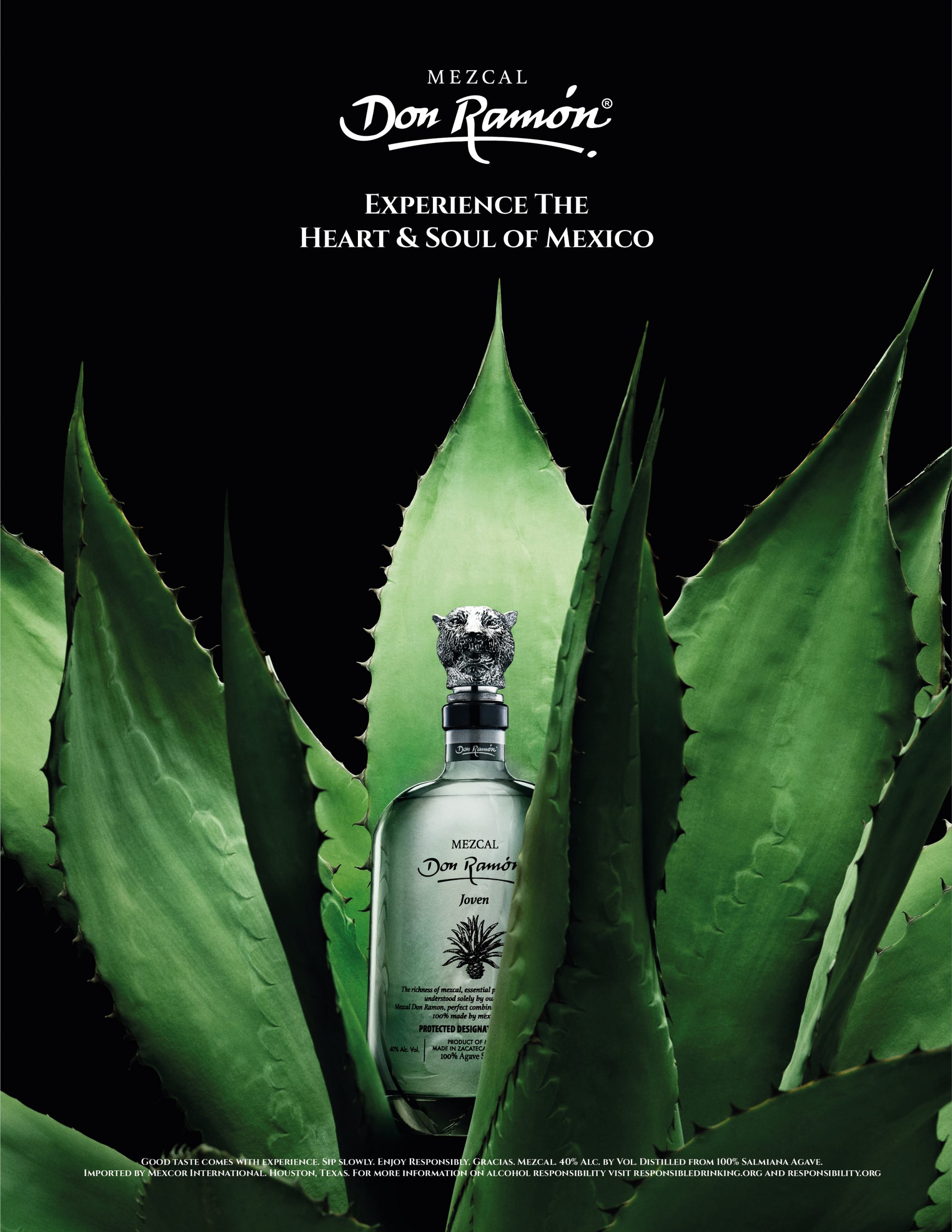 Mezcal Don Ramonjoven Tequila by don ramon - Compare prices in UAE